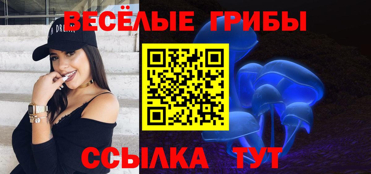 A PVP Бийск